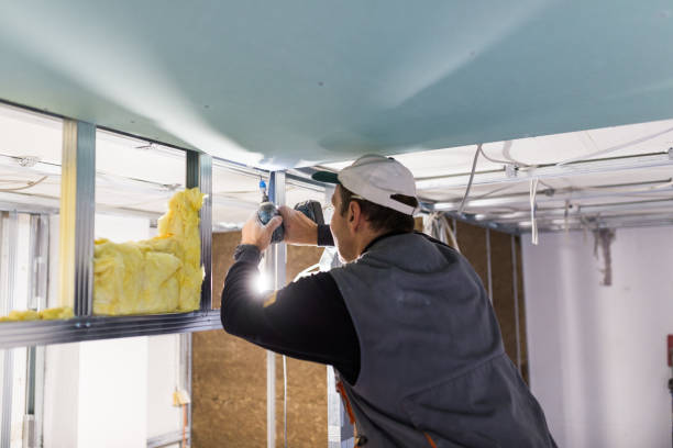 Best Residential Insulation in Trempealeau, WI