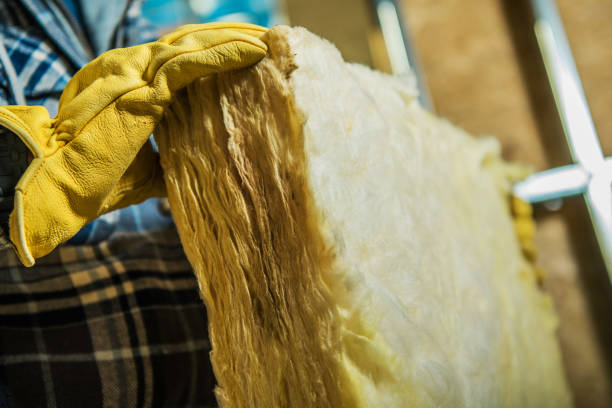 Best Specialty Insulation in Trempealeau, WI